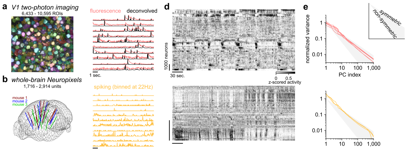 neural recordings from V1 and whole-brain, along with the estimated variance of the principal components of the neural activity, which decay with a power-law of exponent 0.7-0.85, which is close to the exponents from symmetric random matrices.